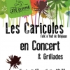 Affiche du concert