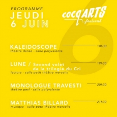 Jeu 06.06 ​• 21:30 ​• Matthias Billard @ Cocq'Arts Festival ​• Théâtre Mercelis