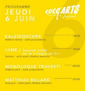 20190606-Matthias-Billard-CocqArts-Festival-Mercelis-1000px-8db80f9e35e89052be59e8eb50e22d79.jpg